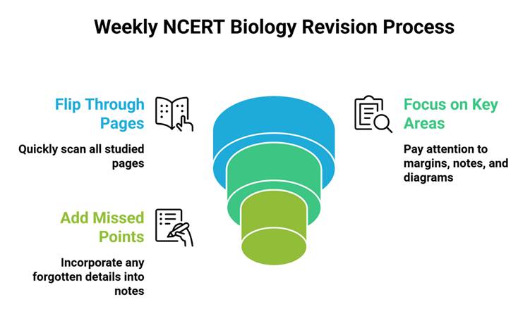 How to Revise NCERT Biology for NEET Line by Line Without Forgetting? (Daily Revision Plan)