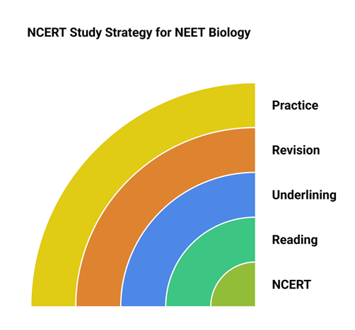 NEET 2026 biology important chapters